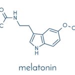 Melatonin Wirkung auf Schilddrüse