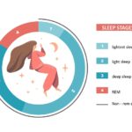Schlafrhythmus und Schlafphasen